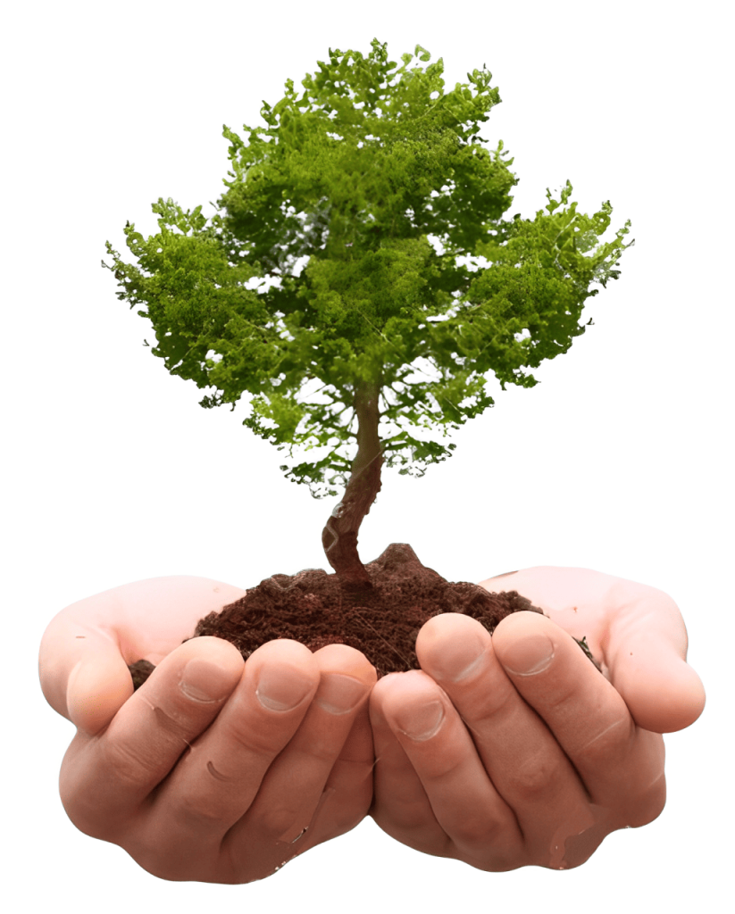 ARBOL-CAMBIA TU SALUD