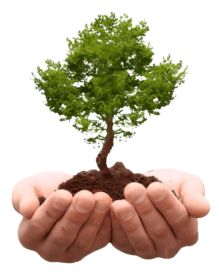 ARBOL-CAMBIA TU SALUD